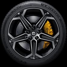 20 Inch Plum Blossom Wheels With Sport Tires